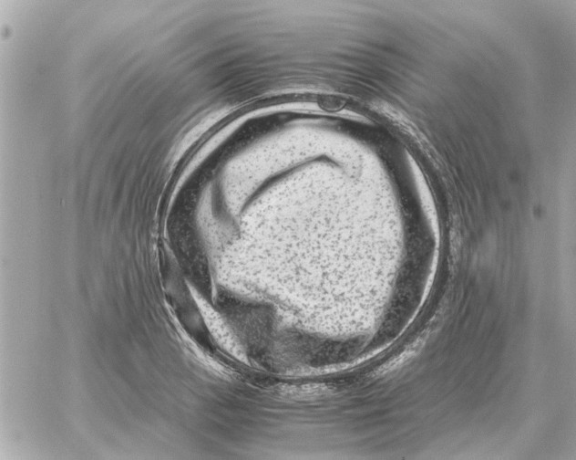 X0000059071129200511041748