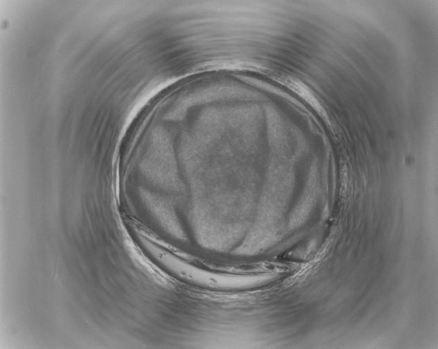 X0000059071132200511041748
