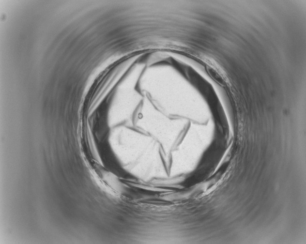 X0000059071136200511041748