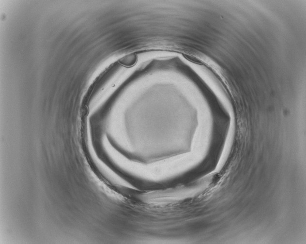 X0000059071147200511041748