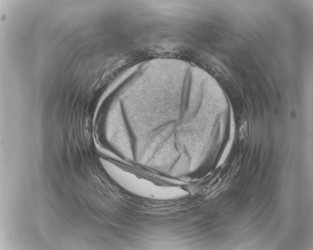 X0000059071156200511041747