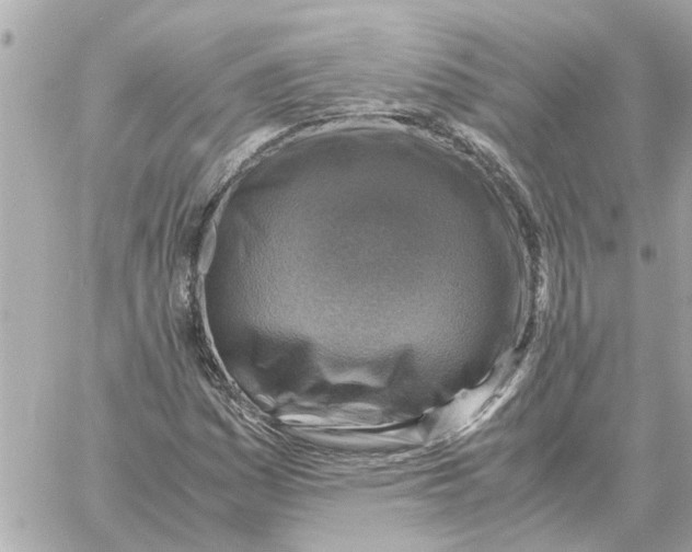 X0000059071161200511041747