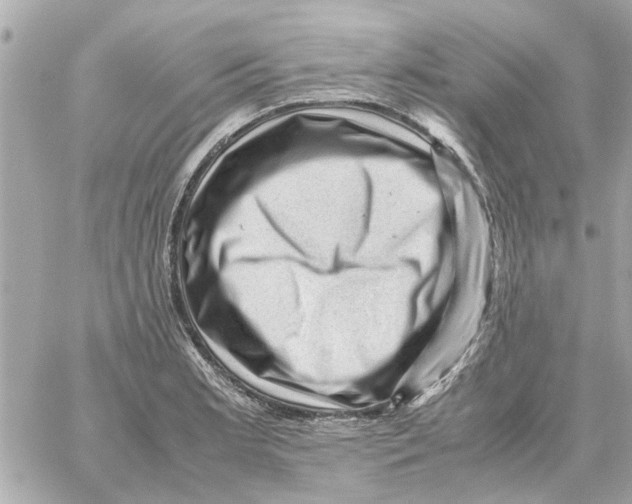 X0000059071181200511041747
