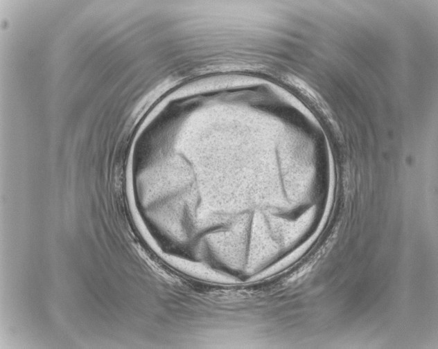 X0000059071185200511041747