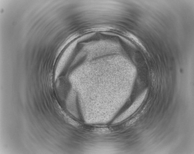 X0000059071186200511041747