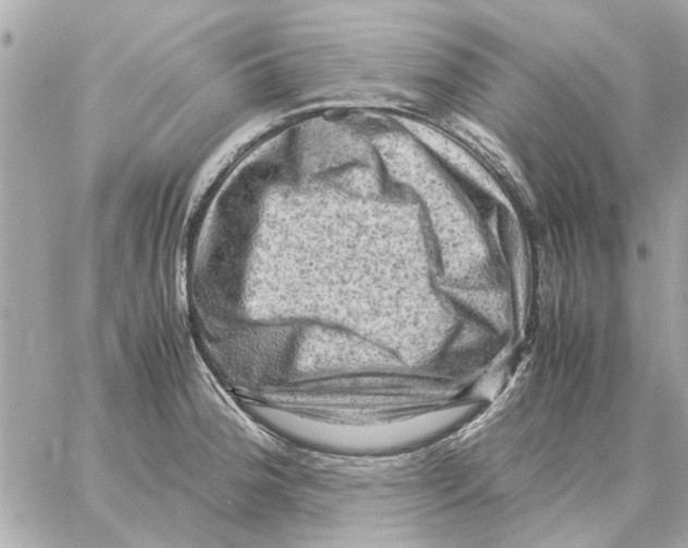X0000059071188200511041747