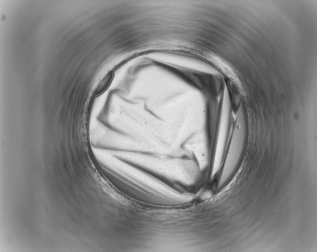X0000059071192200511041746