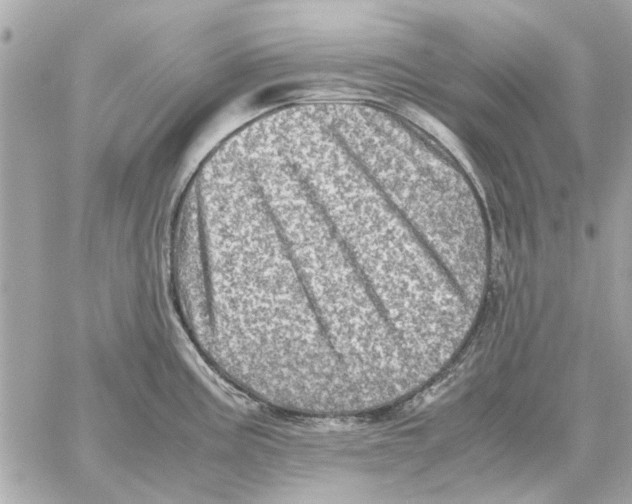 X0000059071195200511041746