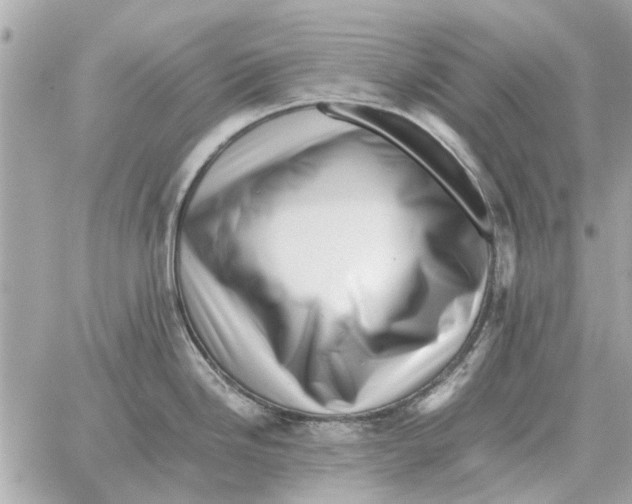 X0000059071246200511041746