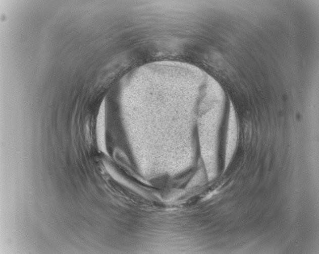 X0000059071250200511041745