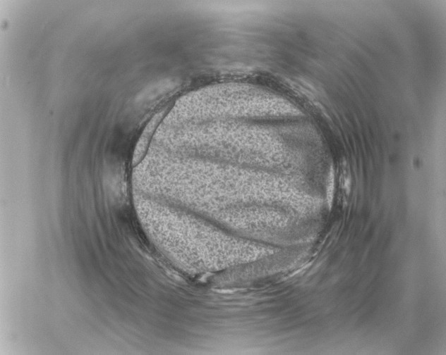 X0000059071252200511041745