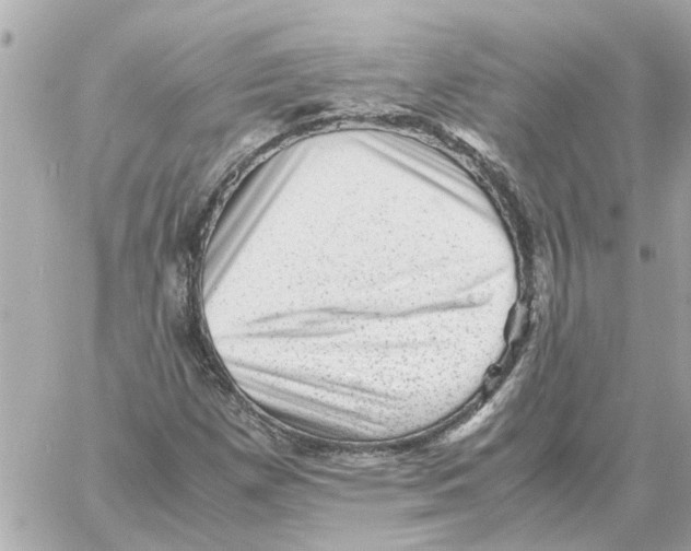 X0000059071257200511041745