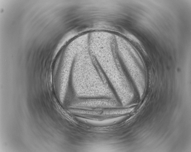X0000059071280200511041745