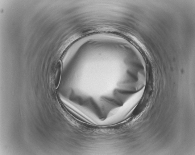 X0000059071281200511041745