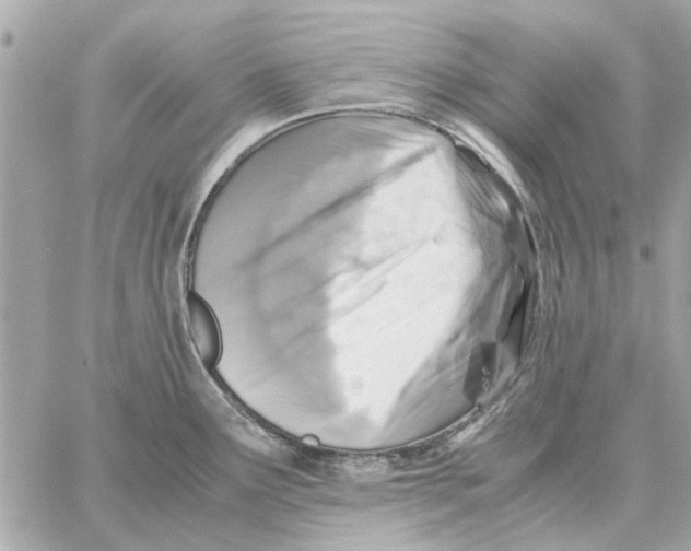 X0000059071291200511041745