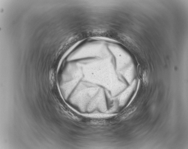 X0000059071299200511041744