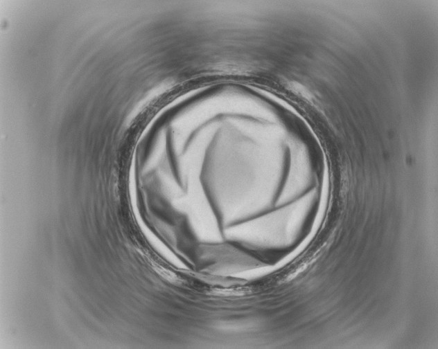X0000059071307200511041744