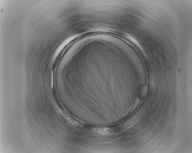 X0000059071323200511041744