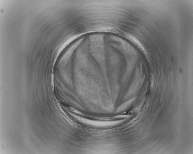 X0000059071324200511041744