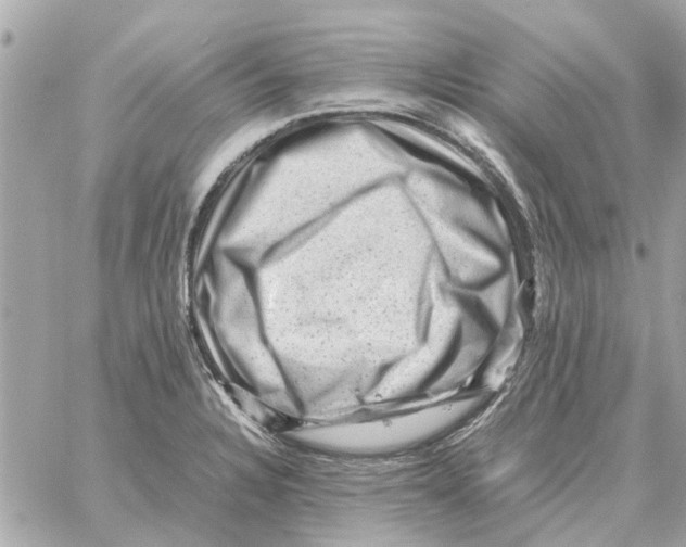 X0000059071328200511041744