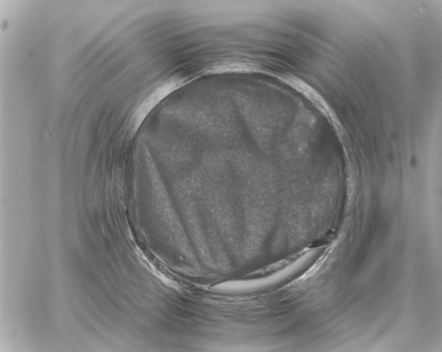 X0000059071337200511041744