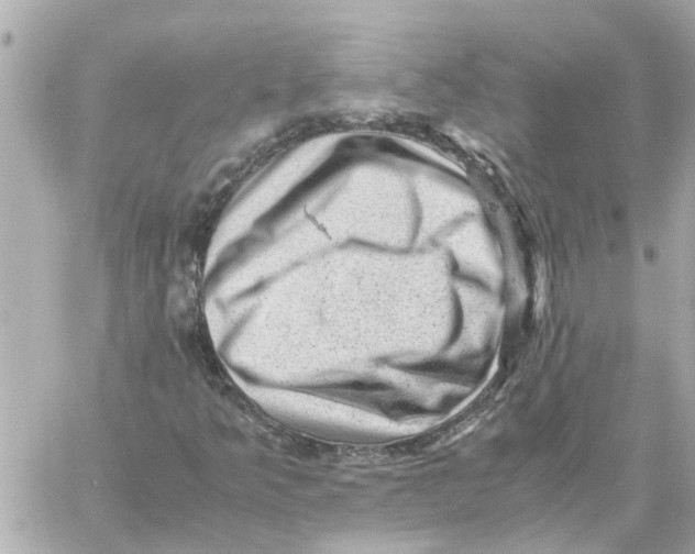 X0000059071349200511041744