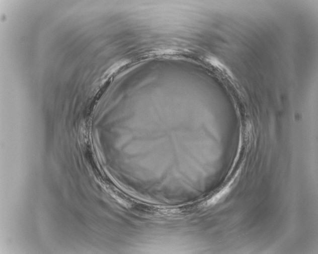 X0000059071353200511041744