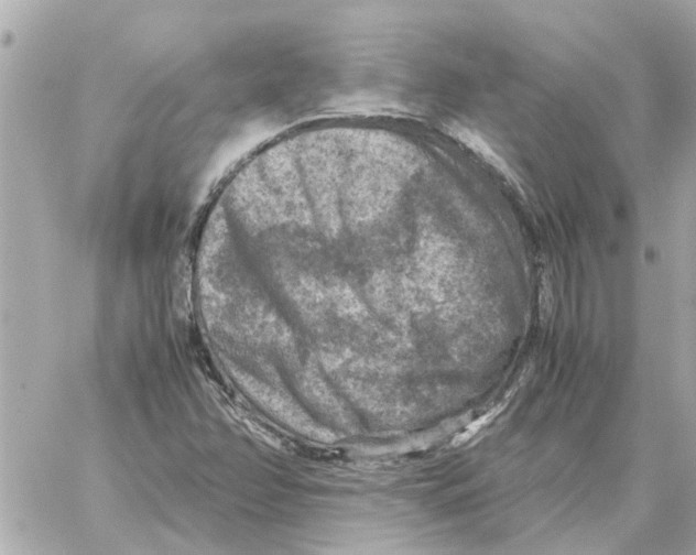 X0000059071358200511041744
