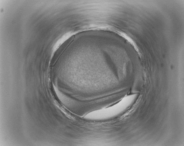 X0000059071373200511041743