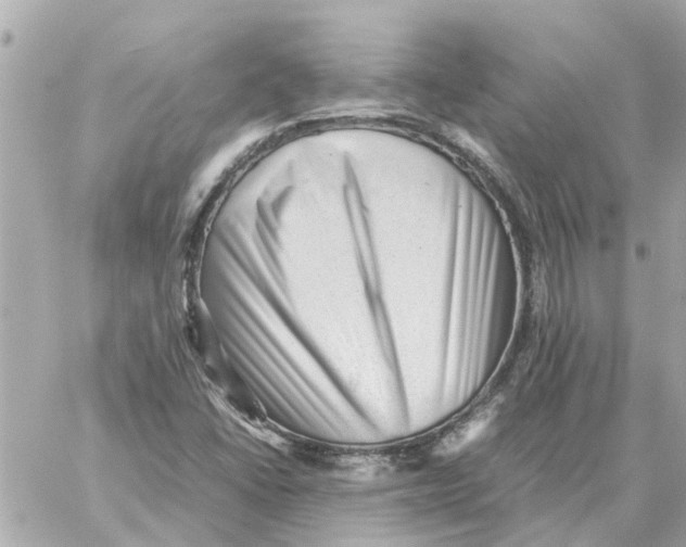 X0000059071406200511041742