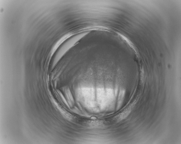 X0000059071418200511041743