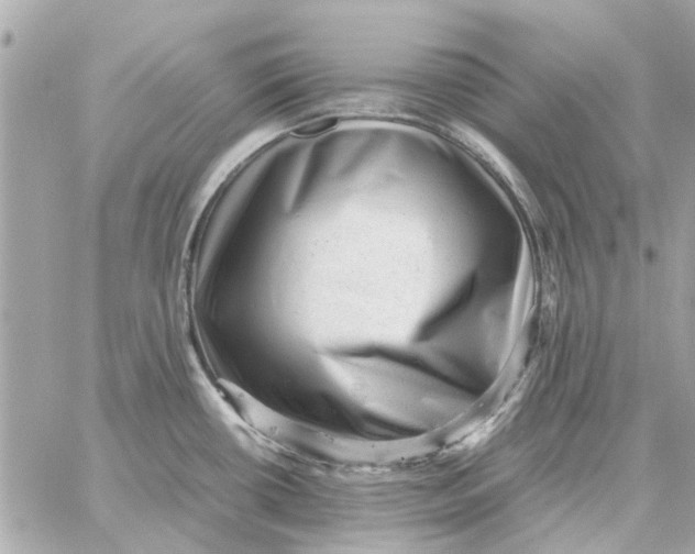 X0000059071434200511041743