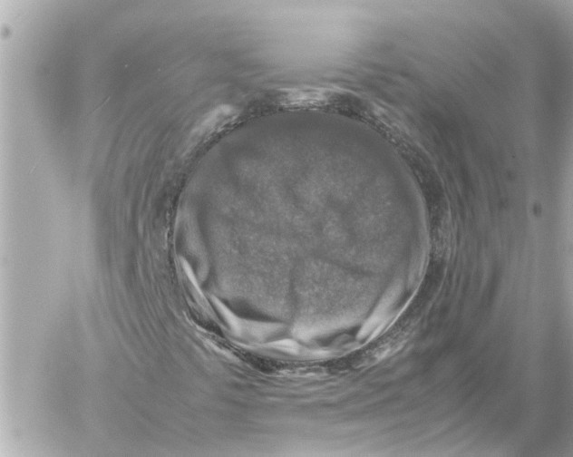 X0000059071441200511041742