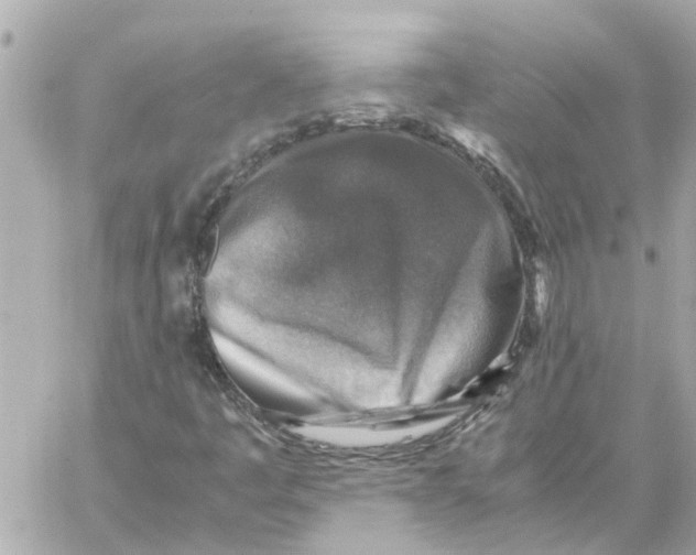 X0000059071445200511041742