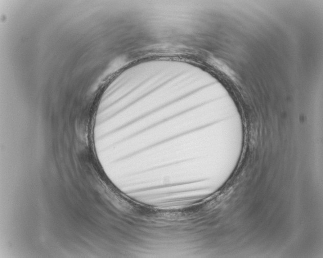 X0000059071451200511041742