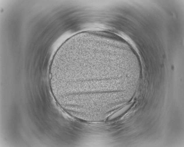 X0000059071488200511041741