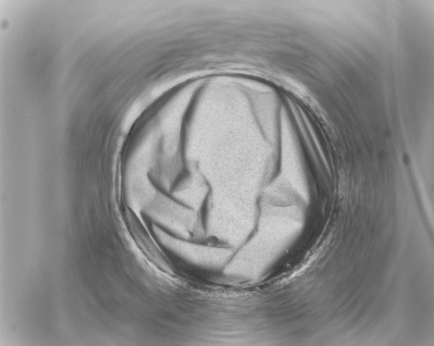 X0000059071520200511041741