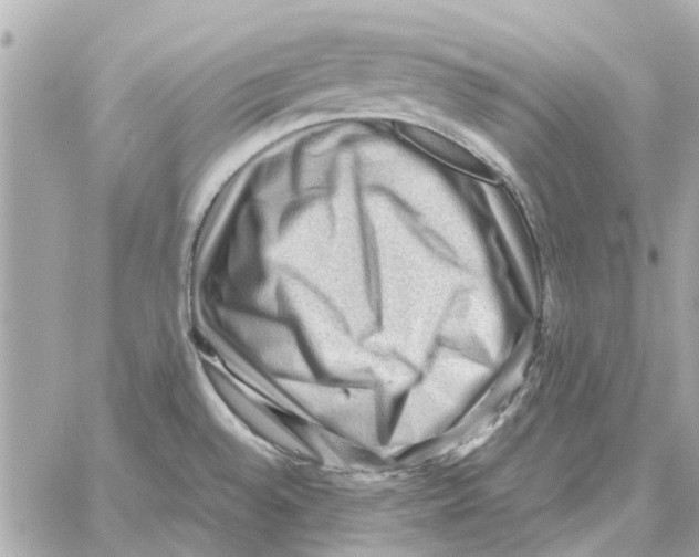 X0000059071528200511041741