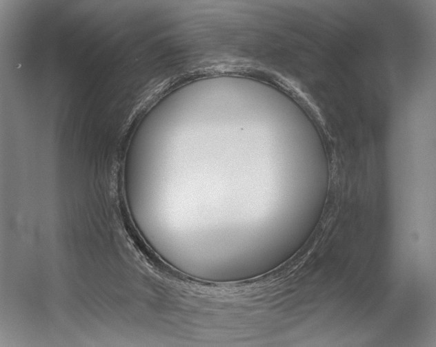 X0000059080010200510070942