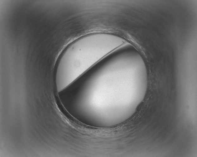 X0000059080011200510070942