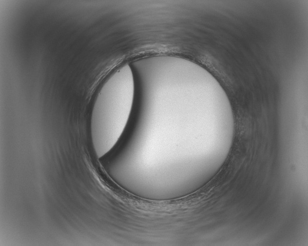 X0000059080014200510070942