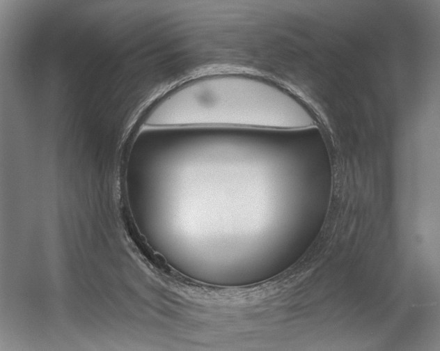 X0000059080015200510070942