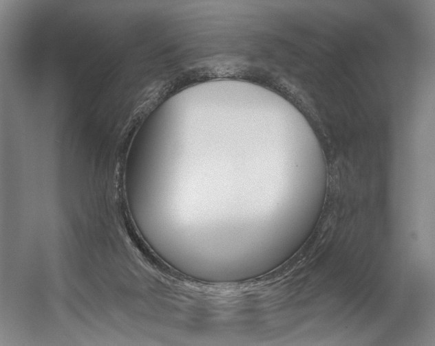 X0000059080018200510070942