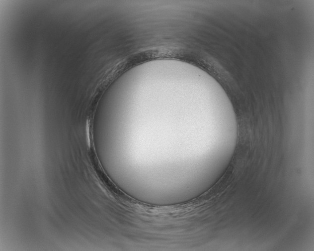 X0000059080022200510070941