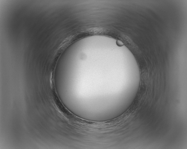 X0000059080024200510070941