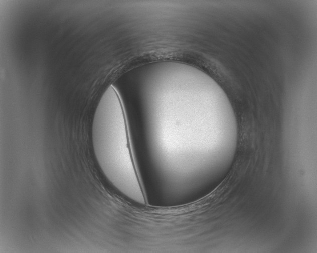X0000059080025200510070941