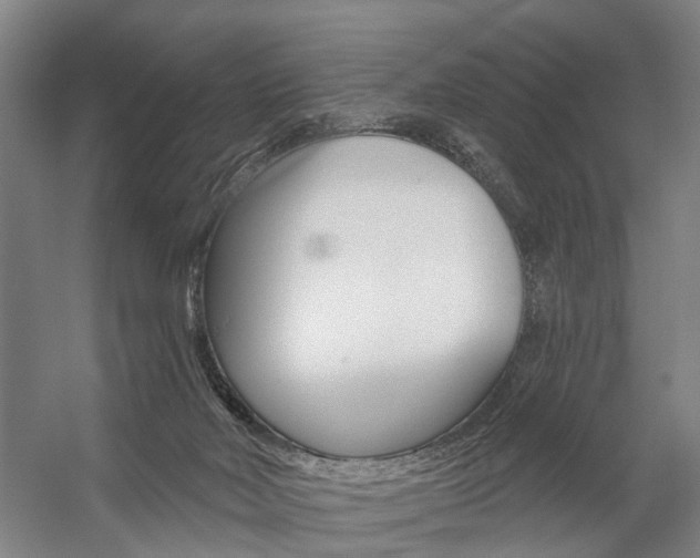 X0000059080026200510070941