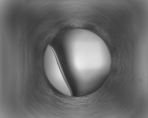 X0000059080027200510070941
