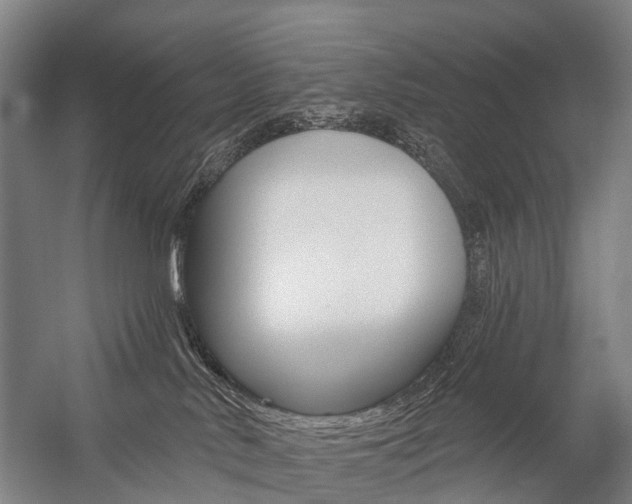 X0000059080042200510070941