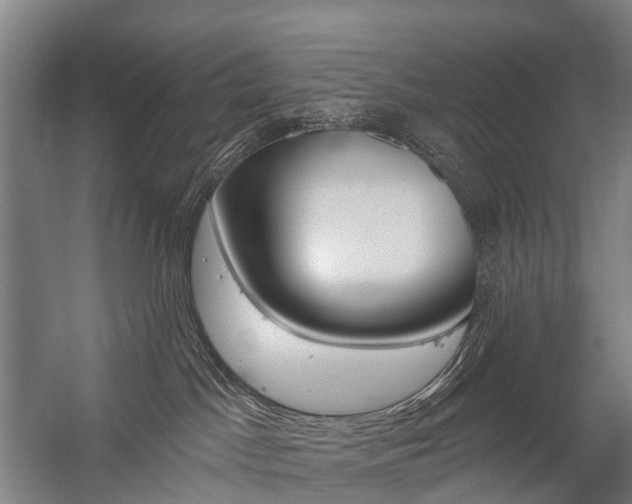 X0000059080045200510070941